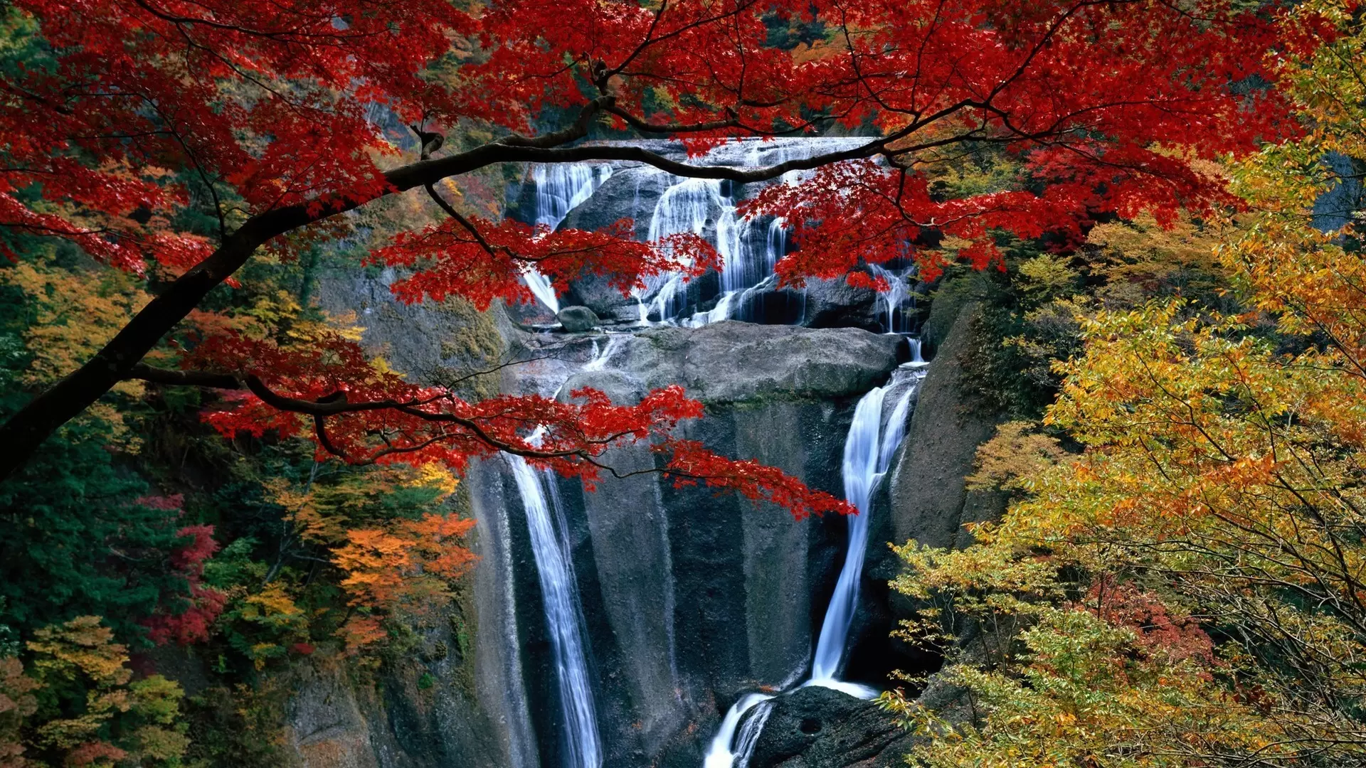 自媒体导航-https://www.zmt.wiki