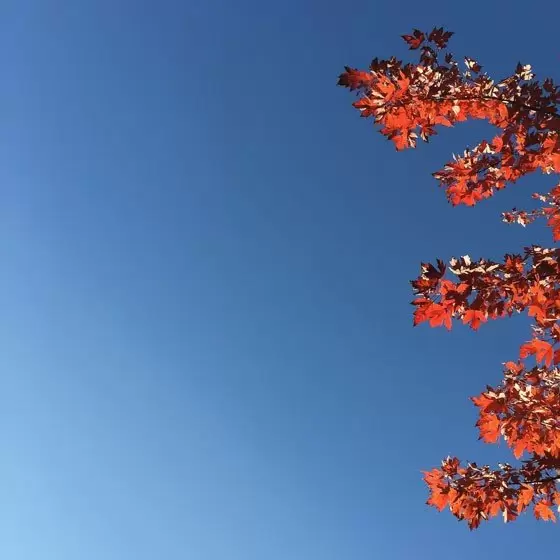 教你如何选择系列照片的主题 教你如何选择系列照片的主题