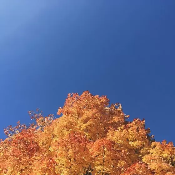 教你如何选择系列照片的主题 教你如何选择系列照片的主题