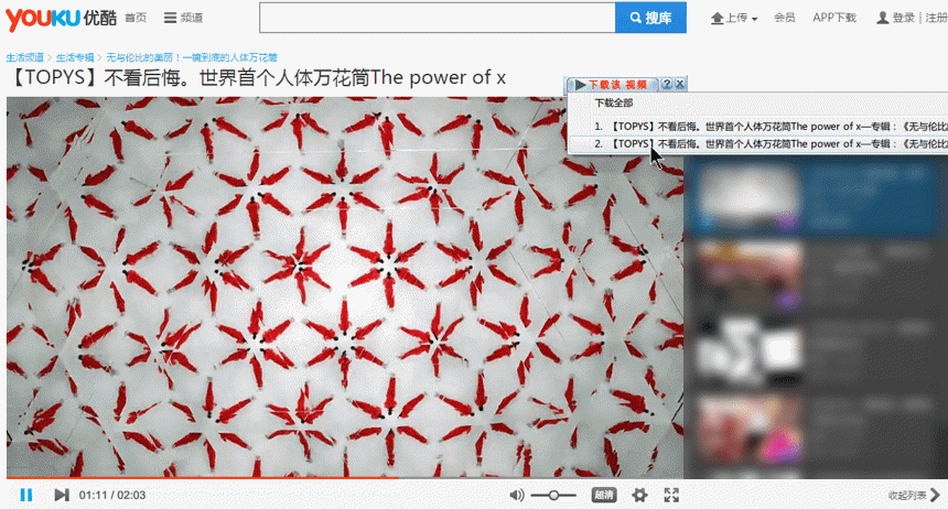 Windows下载神器IDM正版优惠,49元轻松拥有还要什么自行车?
