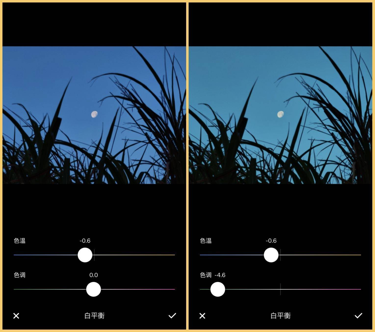 20230818105426832 后期调色:基础工具使用