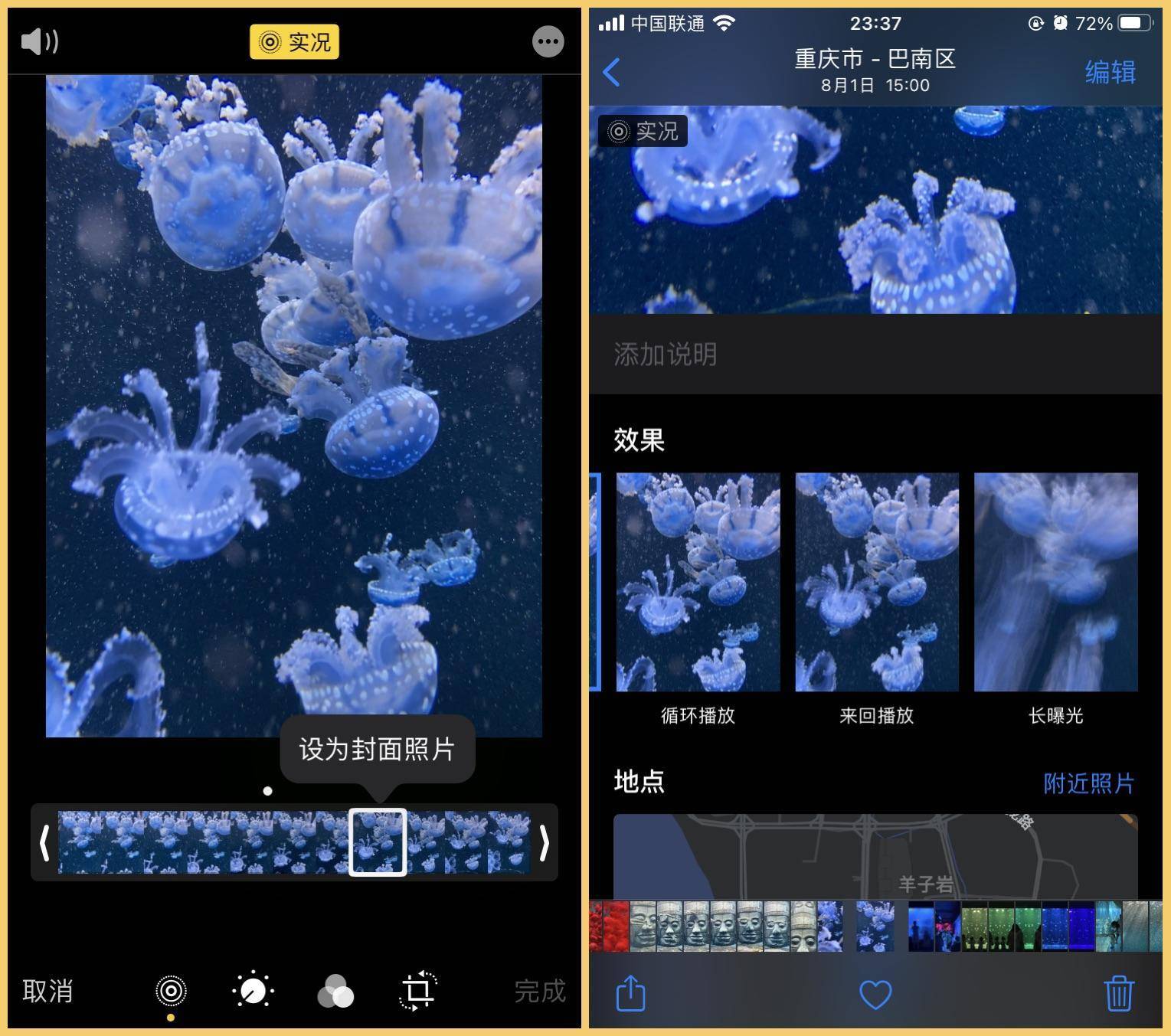 20230818110102143 专业相机功能与LivePhotos的使用