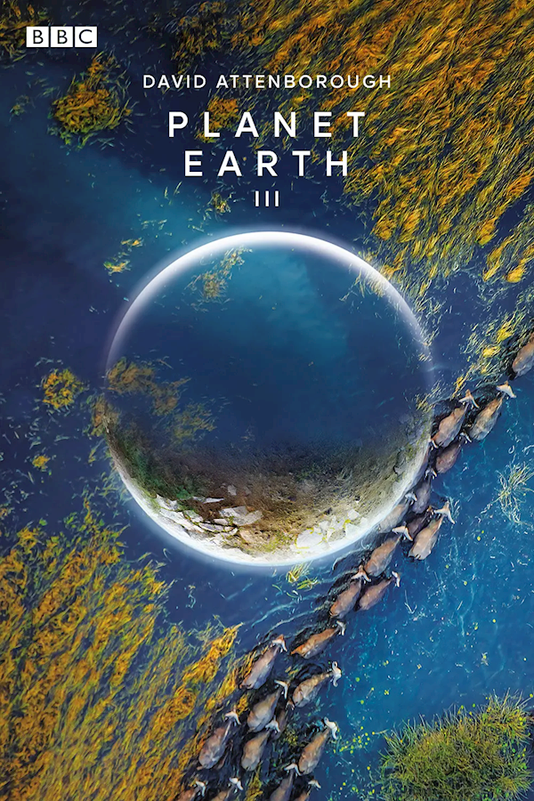 20230902154325543 BBC纪录片《地球脉动》第三季正在制作中,将于今年晚些时候在BBC One播出