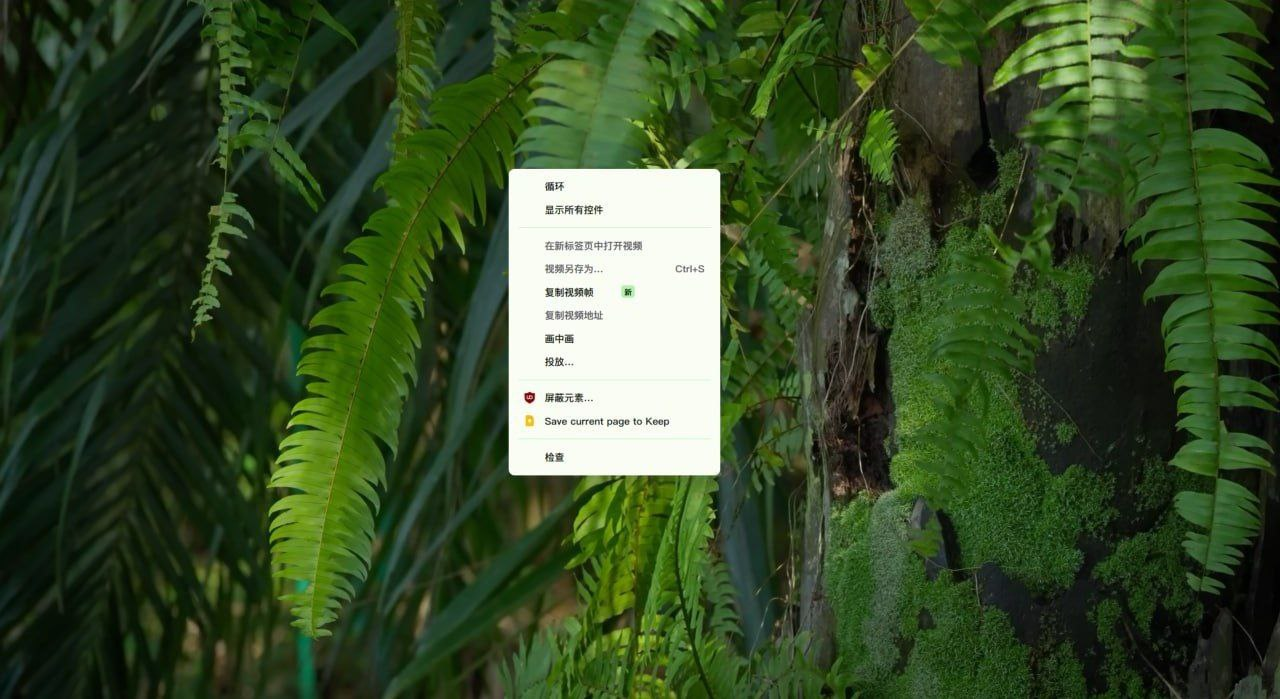 20230908151716654 Chrome 浏览器的新功能“复制视频帧”可替代手动截图
