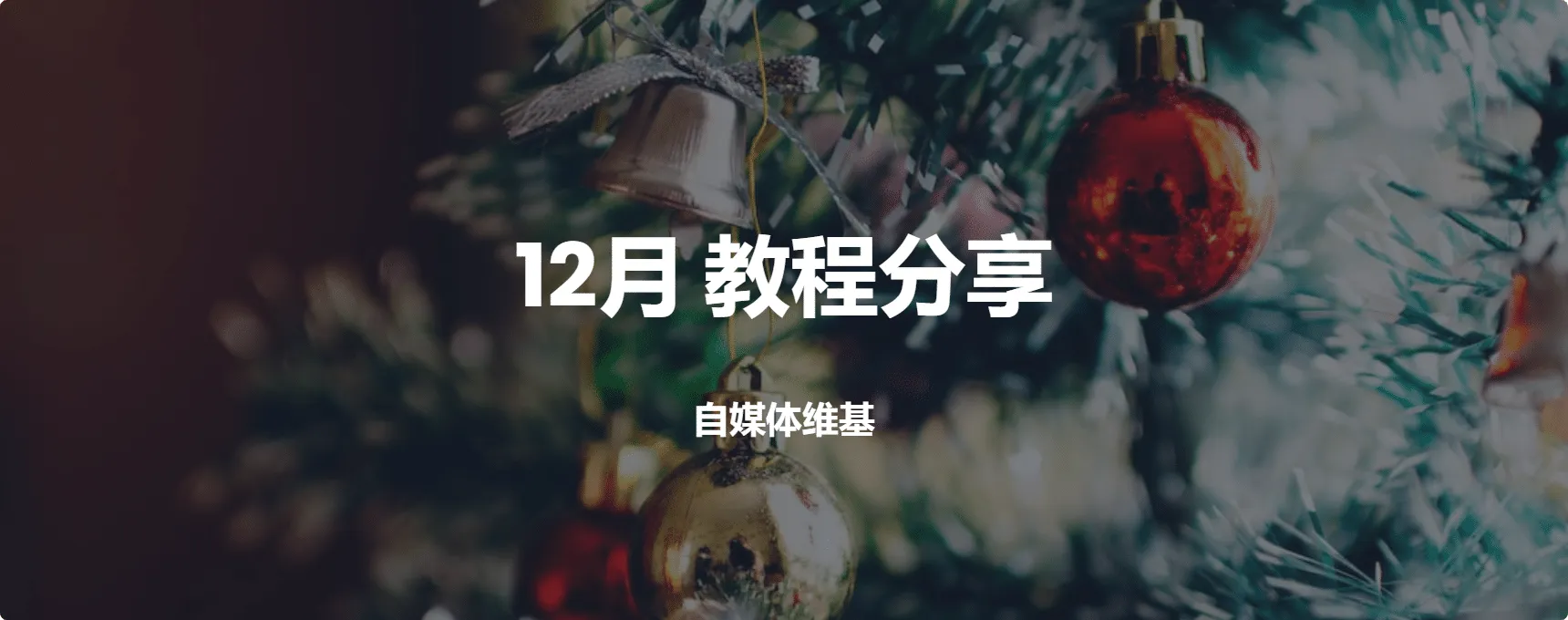 2023 12月教程分享 海量行业相关教程