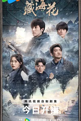 藏海花 (2024) 高开低走 全程水时长