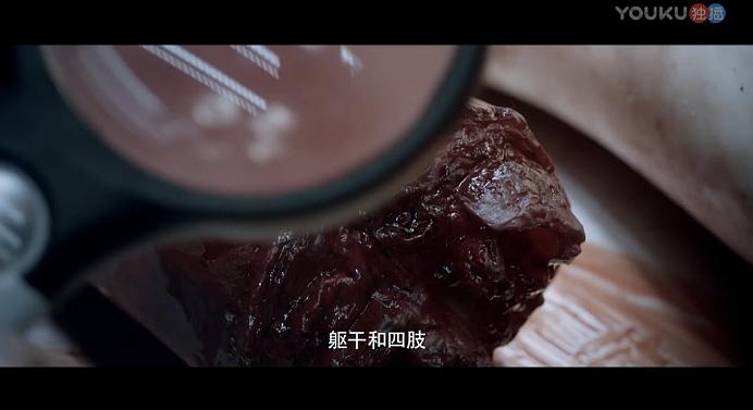 20241210083128133 白夜追凶 (2017)