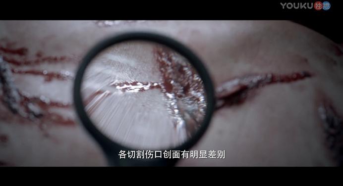 20241210083129751 白夜追凶 (2017)