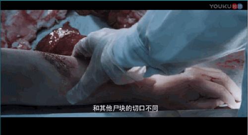 20241210083130712 白夜追凶 (2017)